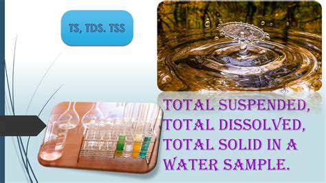 total soluble solids test